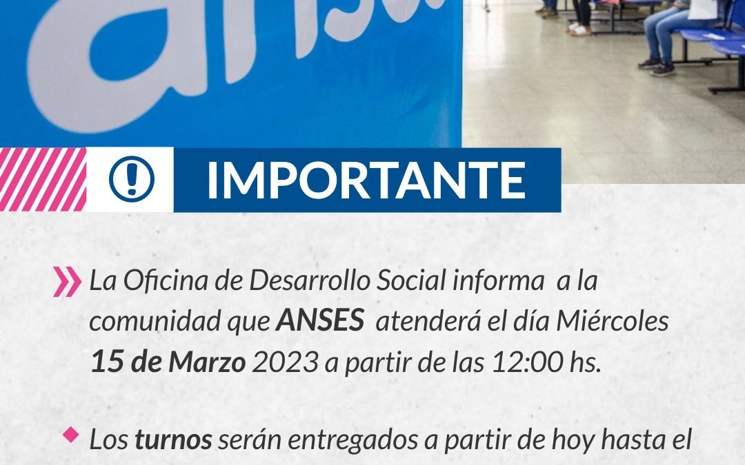 IMPORTANTE: ANSES