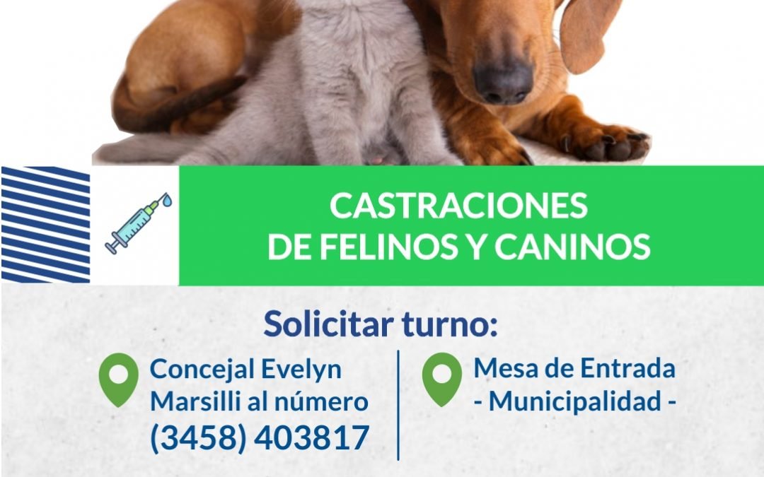 CASTRACIONES GRATUITAS
