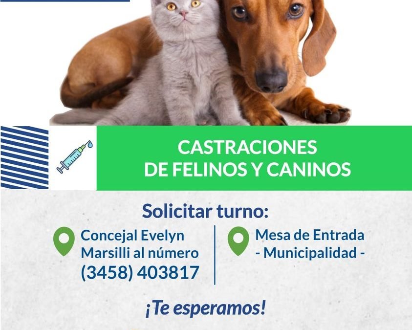 CASTRACIONES GRATUITAS