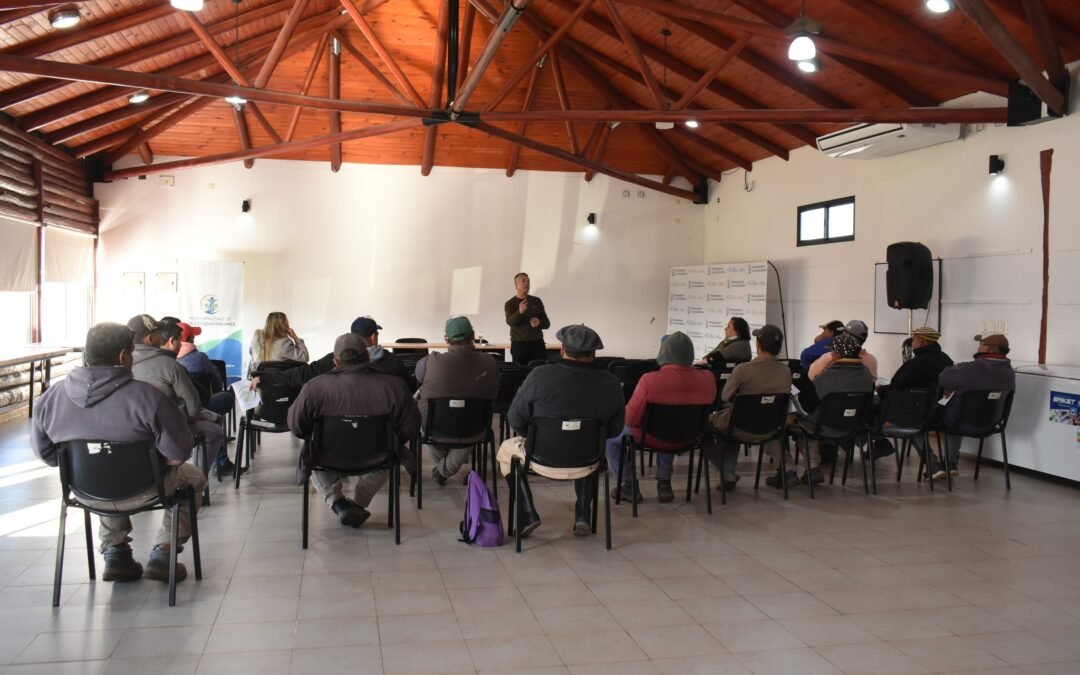 REUNIÓN CON EJECUTIVO DE SICRECREER