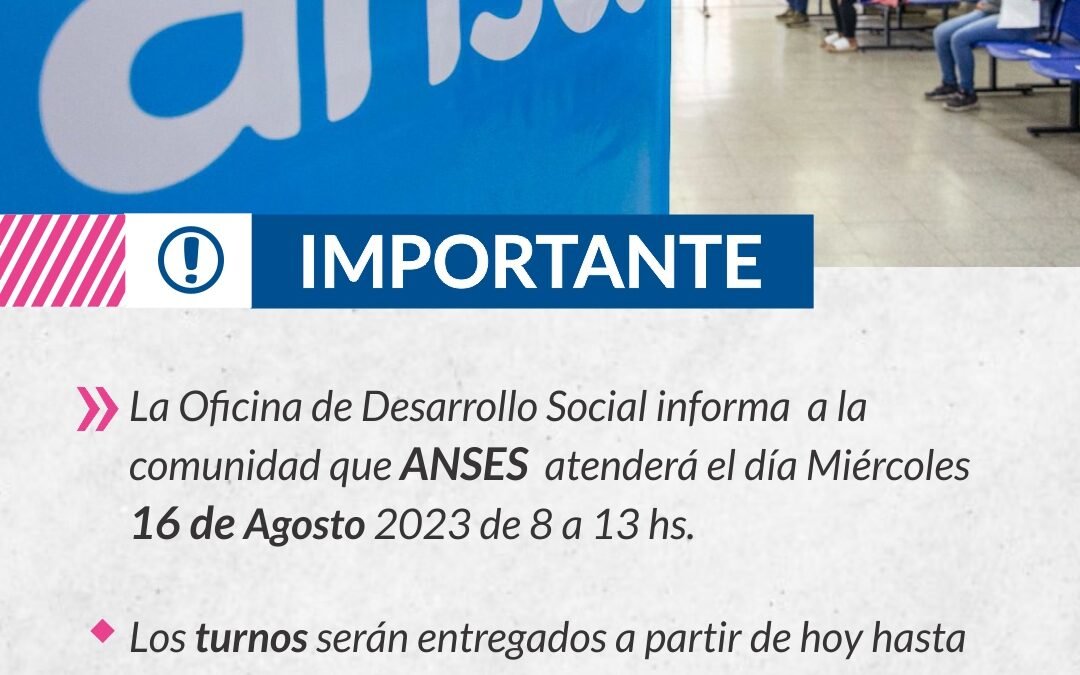 IMPORTANTE: ANSES