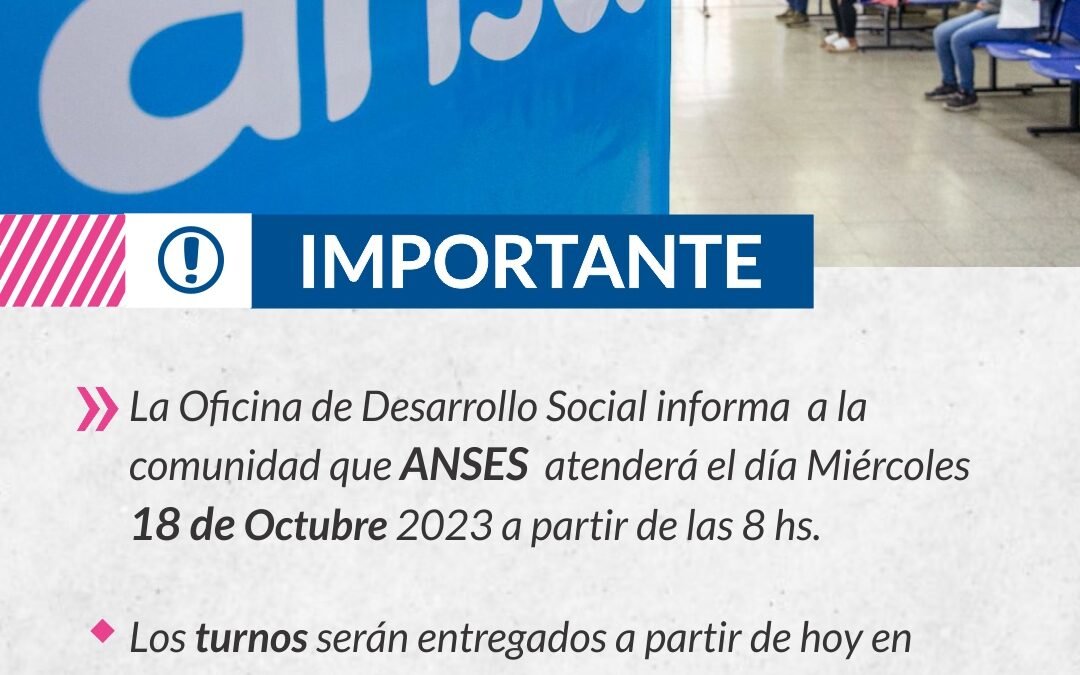 IMPORTANTE: ANSES
