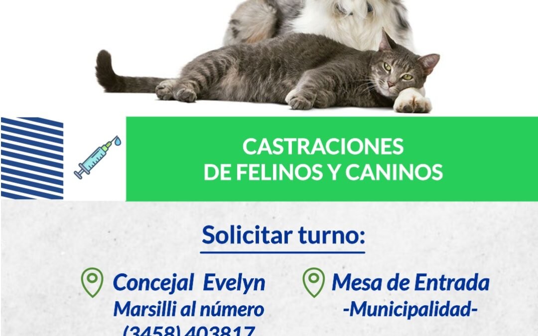 CASTRACIONES DE MASCOTA