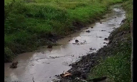 LIMPIEZA DEL ARROYO