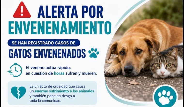 ALERTA POR ENVENENAMIENTO DE ANIMALES