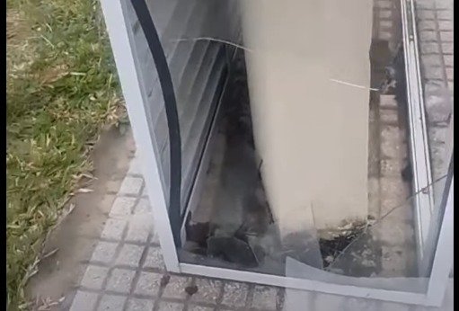 DAÑOS EN EL PASEO DE LA FE